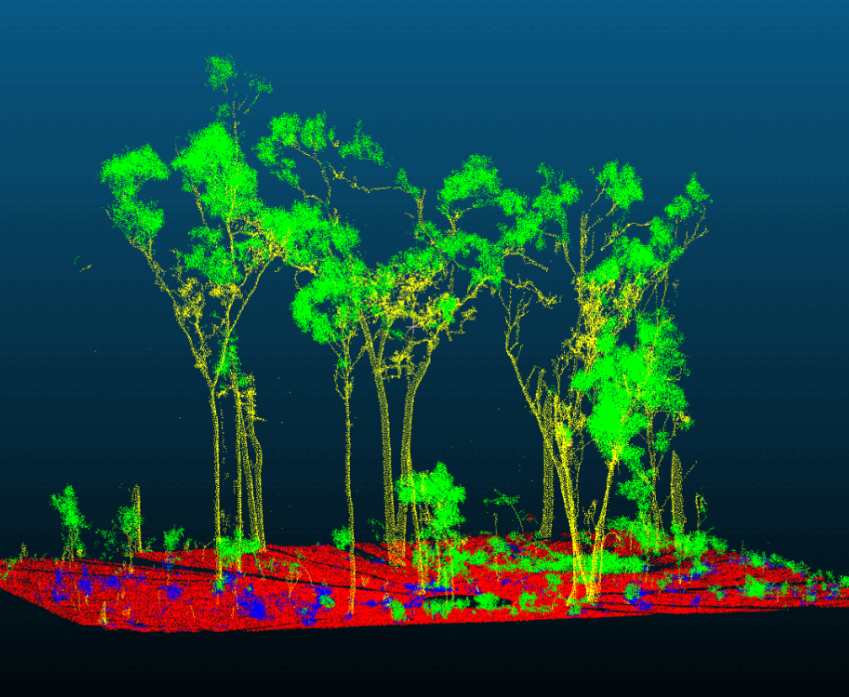 Tree point cloud segmentation
